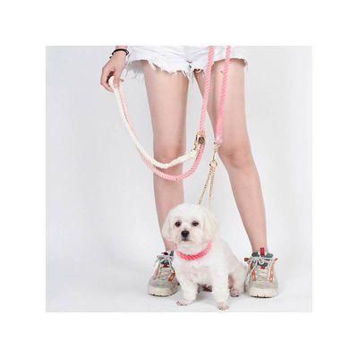 New Comfortable Placa PARA Collar Mascota Braided Gradient Luxury Dog Collar