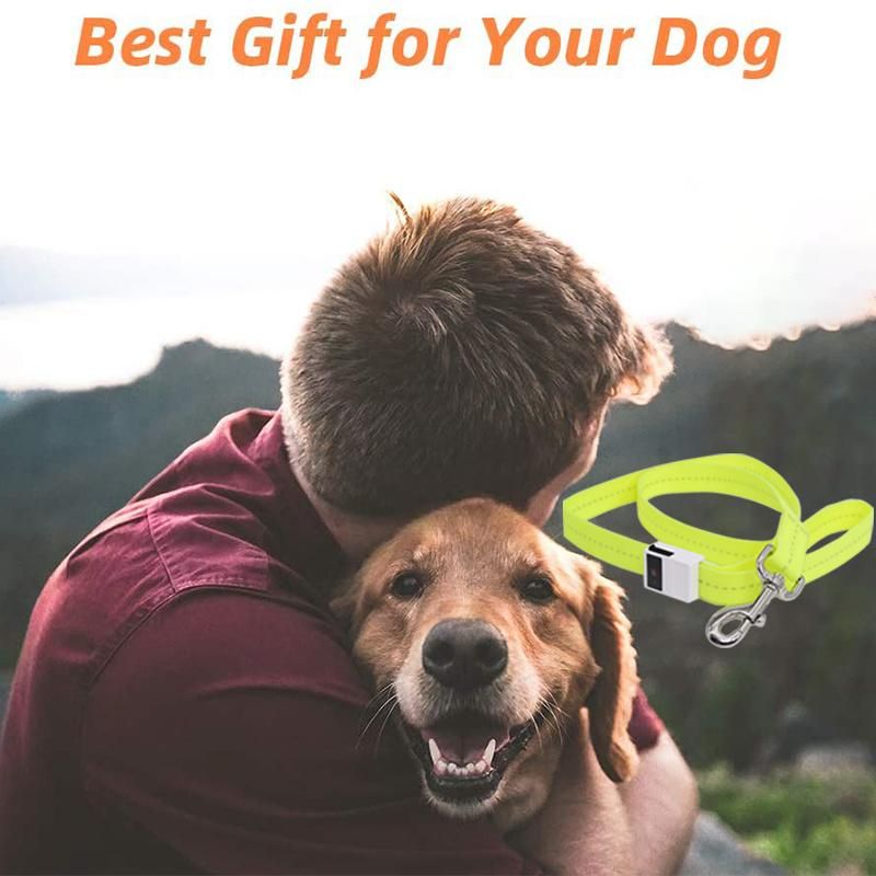 47.2 Inch / 120cm Waterproof LED Webbing, Replaceable Battery, 3 LED Flashing Mode, Soft PVC Pet Leash, Glowing at Night LED Dog Leash