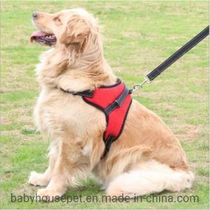 2019 New Custom Comfortable Nylon Walking Pet Dog Harness