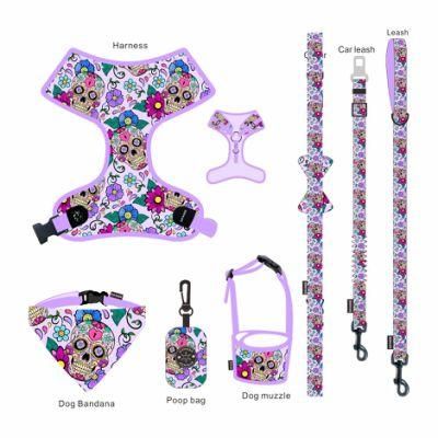 Manufacturer Custom Leash and Collar Set Adjustable Neoprene Dog Harness Bowtie Dog Collar and Leash Set