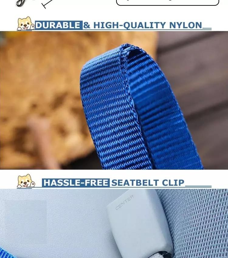 Provide High Quality Dog Product Dog Leases and Beauty Accessories