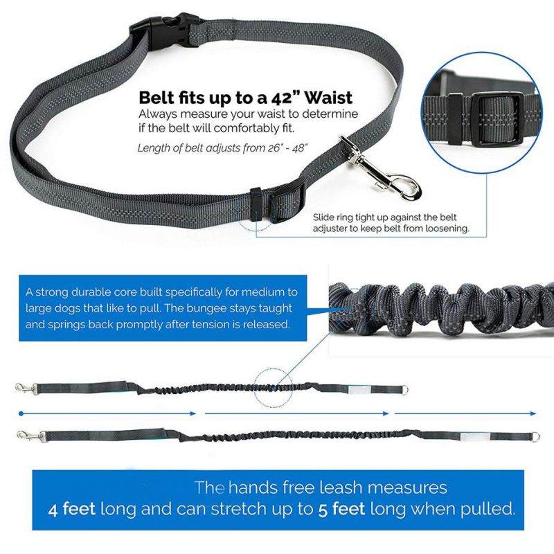 Bungee Dog Leash Extension Gentle Leader Tangle Free Dog Lead