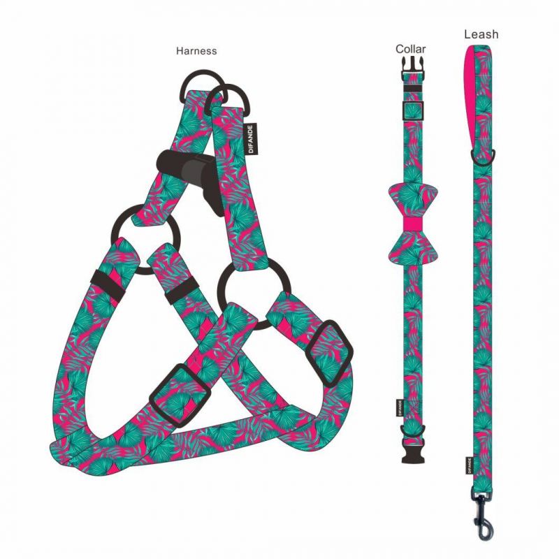 Dog Fashion Collar Custom Dog Luxury Collar Fit All Size Dogs Fashion Perros Harness Pet Products Collar and Leash Set