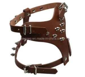 Outdoor Real Leather Durable Dog Rivert Harness (KC0074)