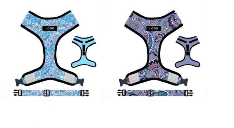 Amazon Best Selling Polyester Ribbon Dog Harness Set with Leash