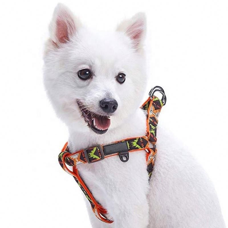 2021 Wholesale Sublimation Custom Dog Harness Soft Padded Handle Strong Dog Leash and Harness for Outdoors