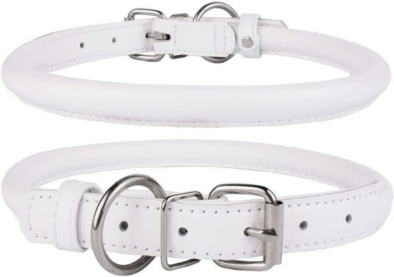 High Quality and Comfortable Rolled Dog Collar