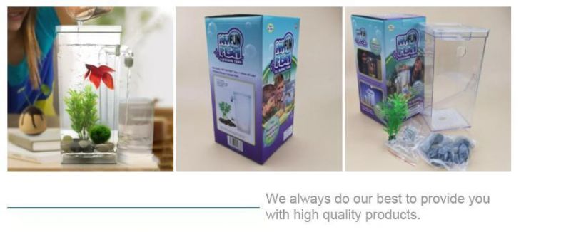 Wholesale High Quality Circulatory System for Aquarium Acrylic Ecological Home Small Fish Tank