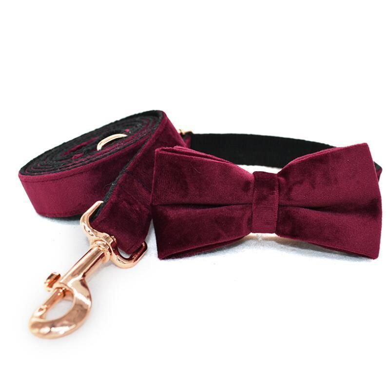 Classic Dog Collar Soft Comfortable Adjustable Collars