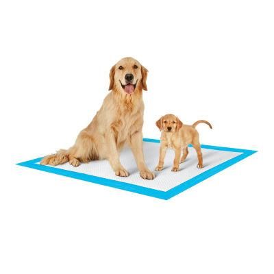 Wholesale Absorb Dogs Training Urine Pads Disposable Pet Training Pad