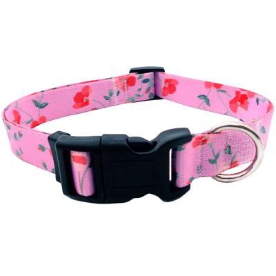 Fashion Pet Clothes Custom Dog Leash Cool Pattern Dog Collar