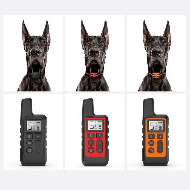 Rechargeable Waterproof Remote Electronic Dog Training Smart Dog Collar/Factory Price/Pet Toy