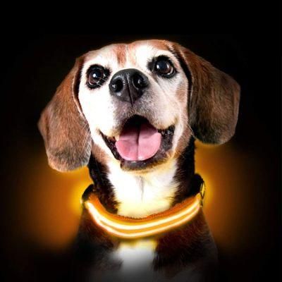 LED Dog Collar Glow in The Dark Dog Collar
