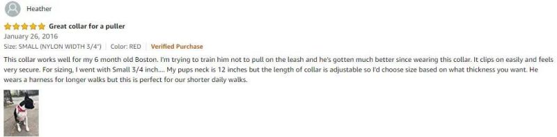 Sturdy Dog Training Collar Anti-Escape Alternative to Choke Collar