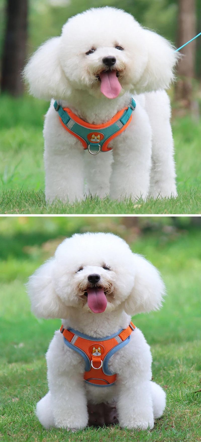 Small Medium Large Pet Harness Cute Cartoon Pattern Dog Harness Vest Set