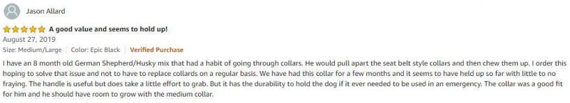 Padded Comfortable Reflective Dog Collar with Handle