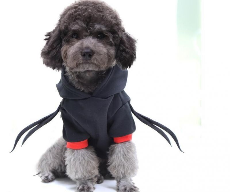 Halloween Spider Funny Best Seller Logo Pet Accessories Dog Clothes Cat Pet Clothes