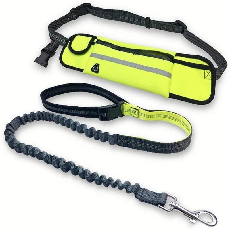 Waist Dog Leash with Storage Bag for Running Walking Pet Leash