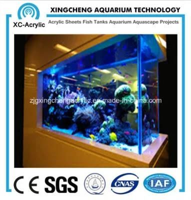 Square Ornamental Fish Tank