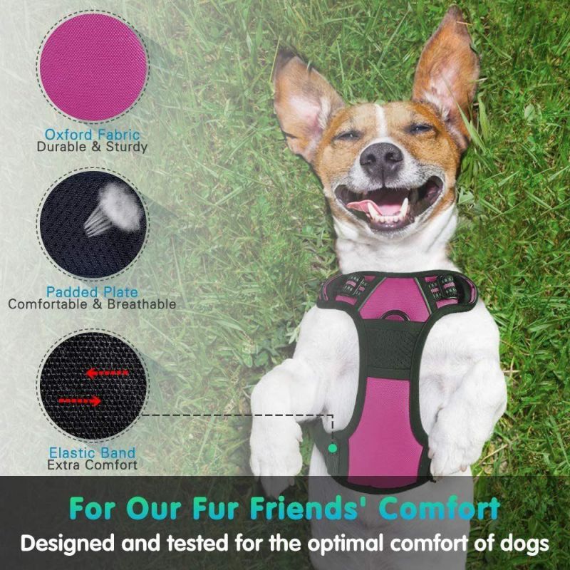 Custom Reflective & Breathable Sturdy Dog Harness