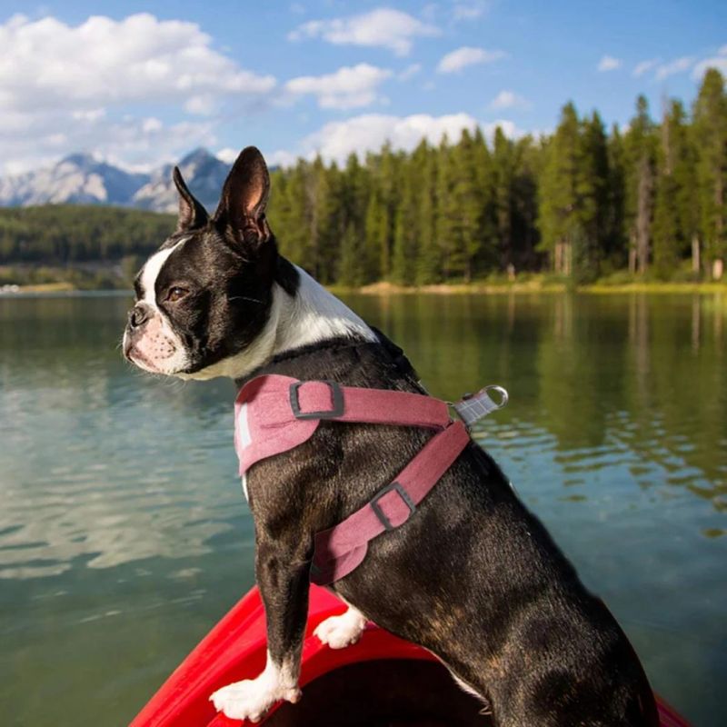 No Pull Harness for Puppies Made by Soft Suede Fabric for Small and Medium Dogs