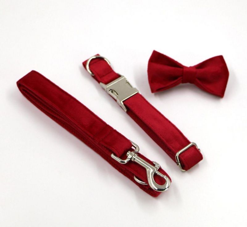 Custom Soft Velvet Dog Collar Leash Pet Product