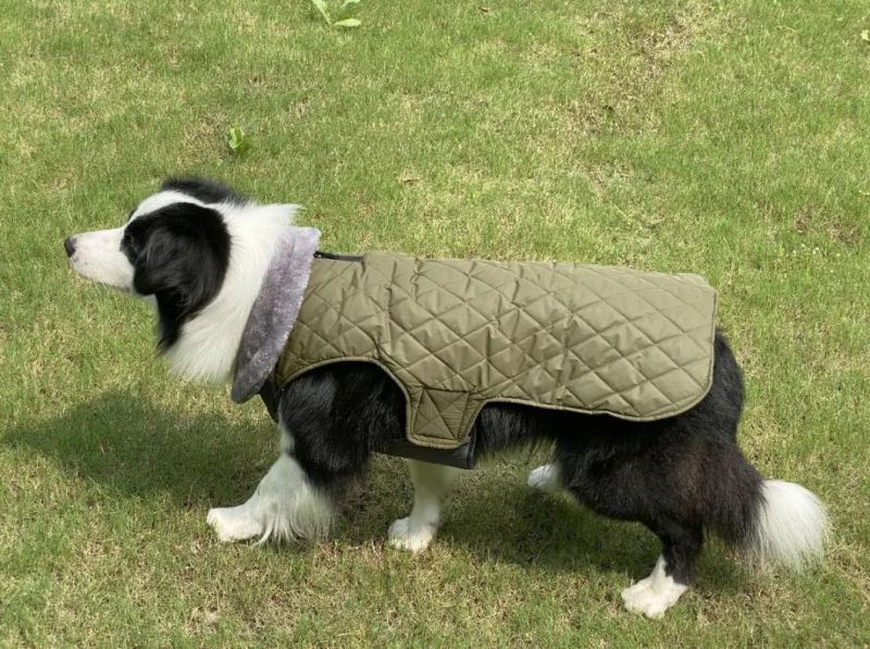 Autumn Winter Big Fur Collar Dog Clothes New Double-Sided Dog Clothes Can Be Worn Waterproof Cotton Clothes