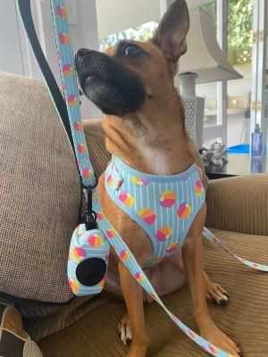 Industrial Hot Trendy Air Mesh Dog Harness/Pet Toy/Pet Accessory