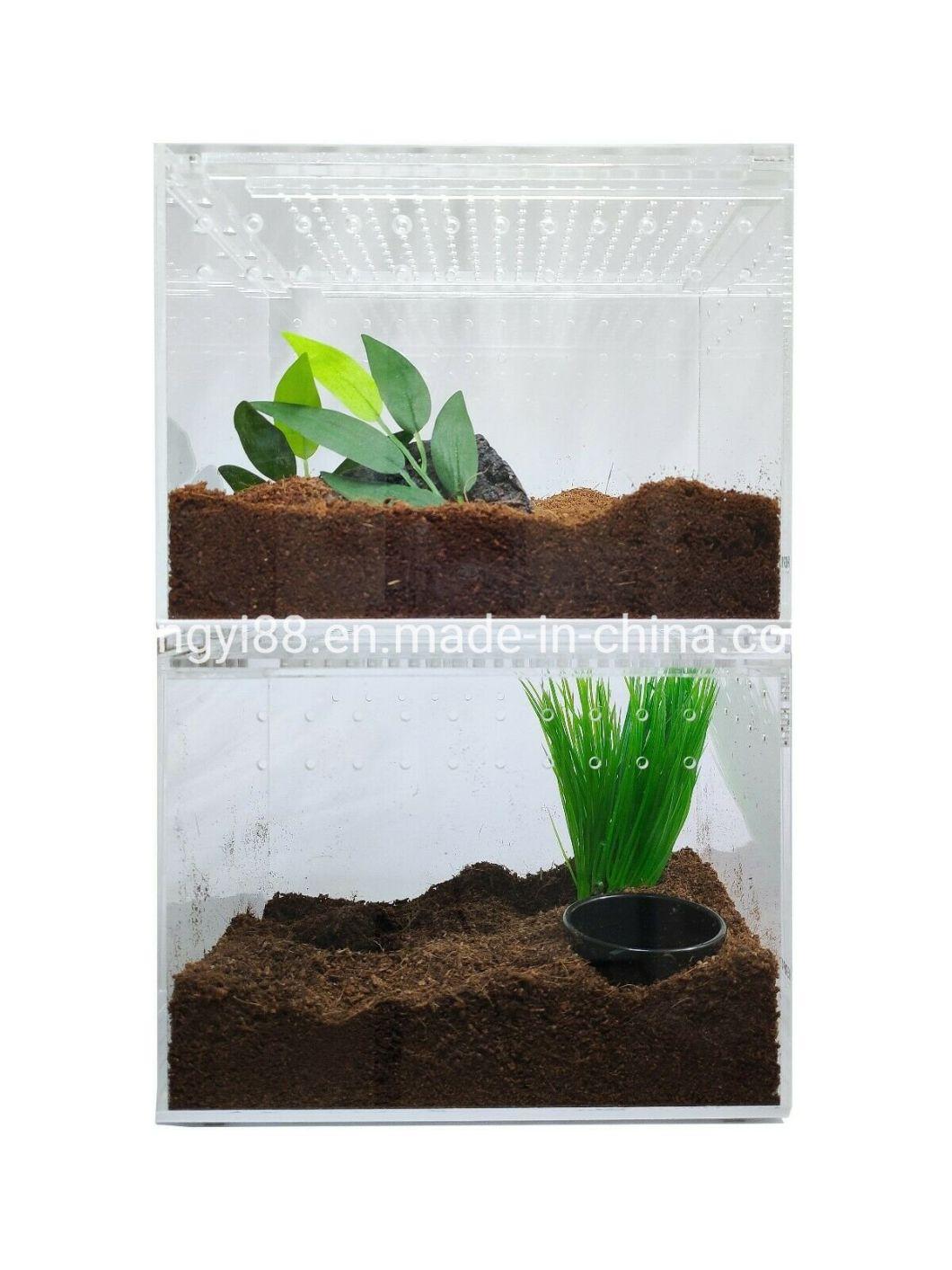 Wholesale Acrylic  Reptile Cage Shenzhen Factory