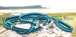 Bingo Adjustable Paracord Dog Leash Dog Collar Hand-Made Dog Leash