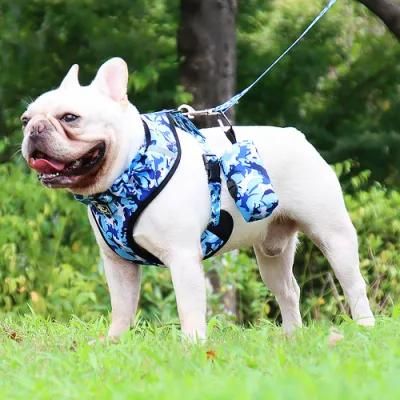 Dog Harnesses for Small Dogs