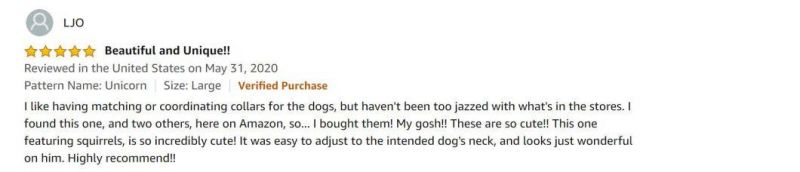Martingale Heavy Duty Nylon Dog Collar for Puppy Small Medium Large Dog