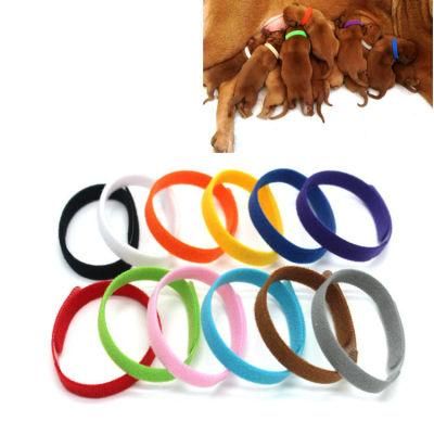 Double-Sided Velvet Material Delicate and Soft Adjustable Multicolor Collar Circle