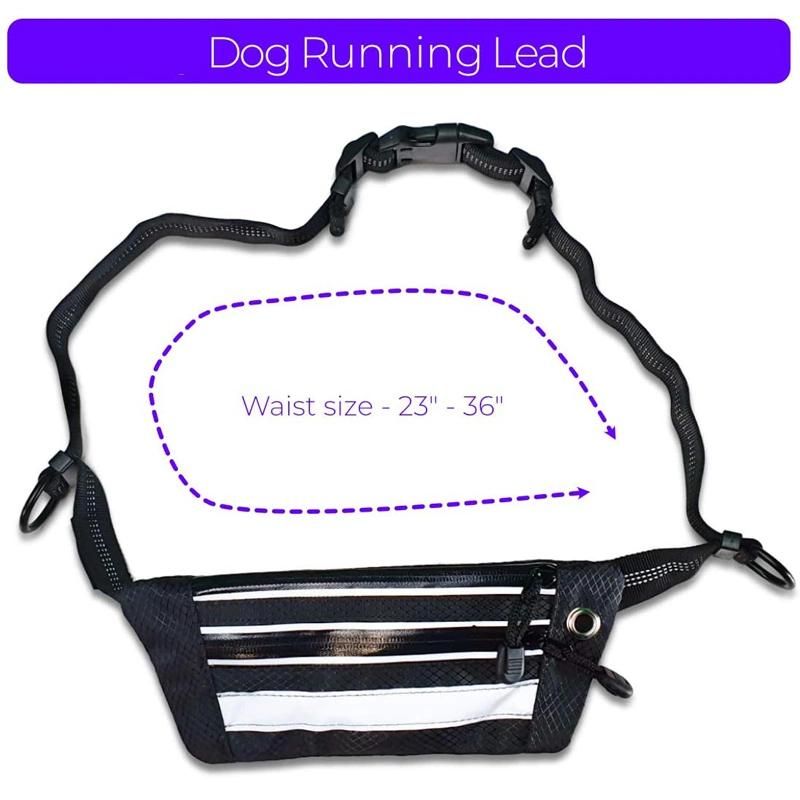 Dog Running Lead Reflective Handsfree Dog Bungee Leash with Bag