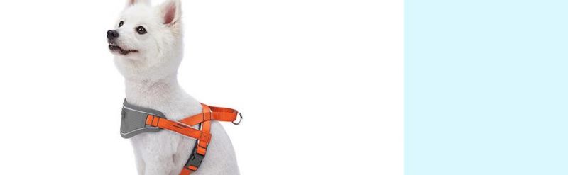 Sunshine Yellow Dog Chest Strap Vest Harness for Large Dogs