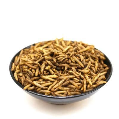 Yellow Mealworms for Wild Birds/Fish/Pets/Chicken Feed