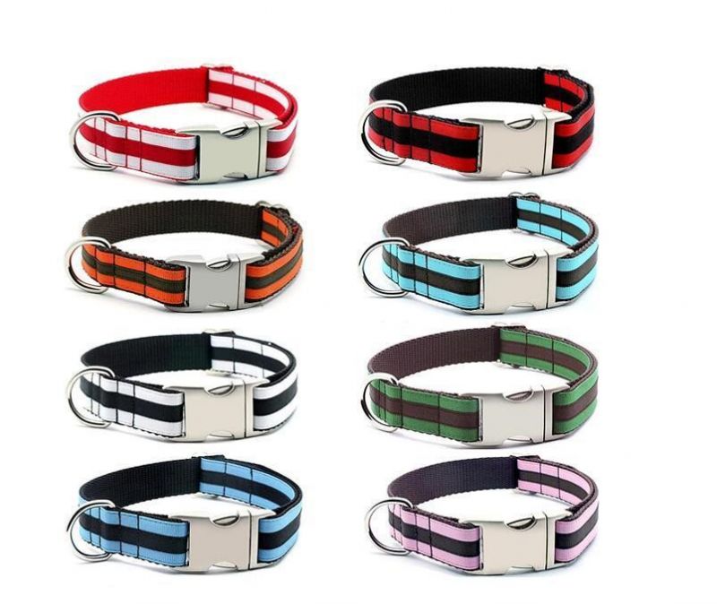 Wholesale Customized Plain Nylon Webbing Pet Dog Collars with Double Layer Ribbon