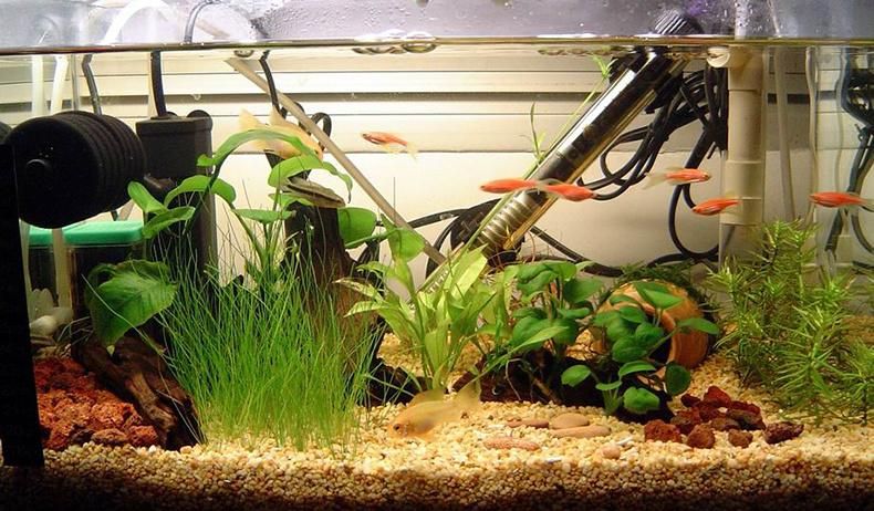 200W Aquarium Heater Submersible Auto Thermostat Heater
