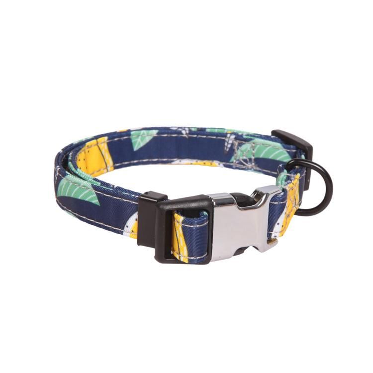 Best Selling Pets Accessories Suppliers Collar Dog Puppy Metal Buckle Training Luxury Dog Collar