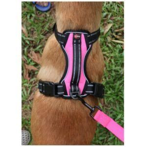 Popular Orange Pet Control No Pull Large Dog Chest Tactical Harness