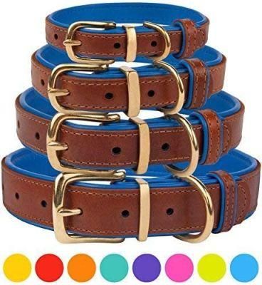 Leather Dog Collar with Soft Padded Inner Side