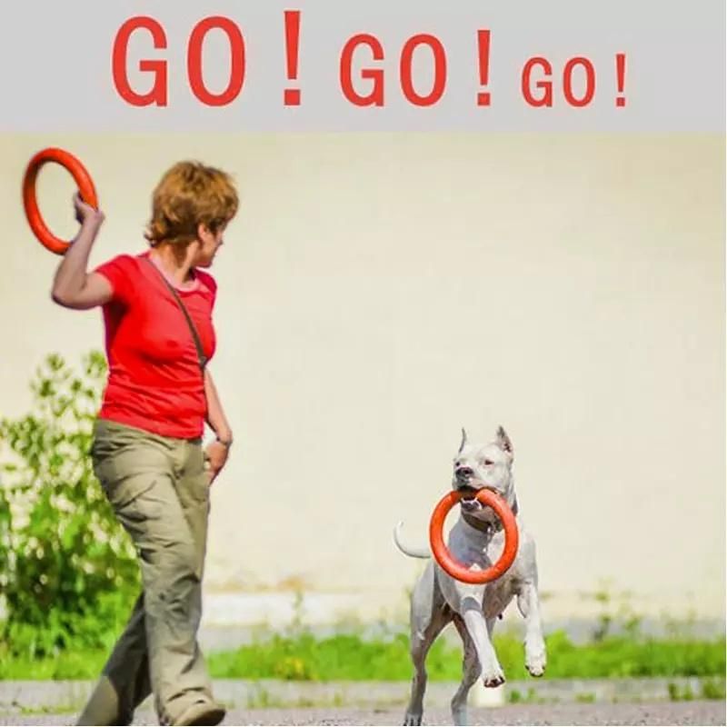 EVA Floating Pet Pull Ring Dog Chew Interactive Training Toy