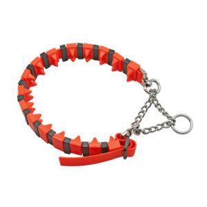 Dog Training Collar Tooth with Chain