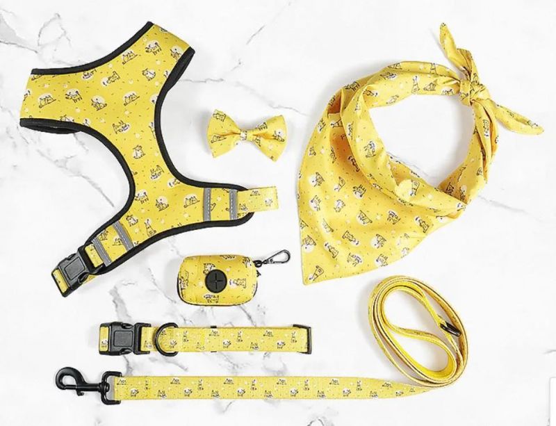 Amazon Popular Printing Pet Collars Harness Dog Leash Set
