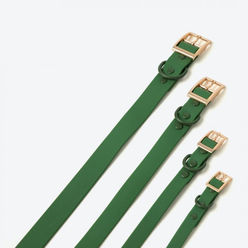 Waterproof Everyday Dog Collar Leash with Poo Bag Holder