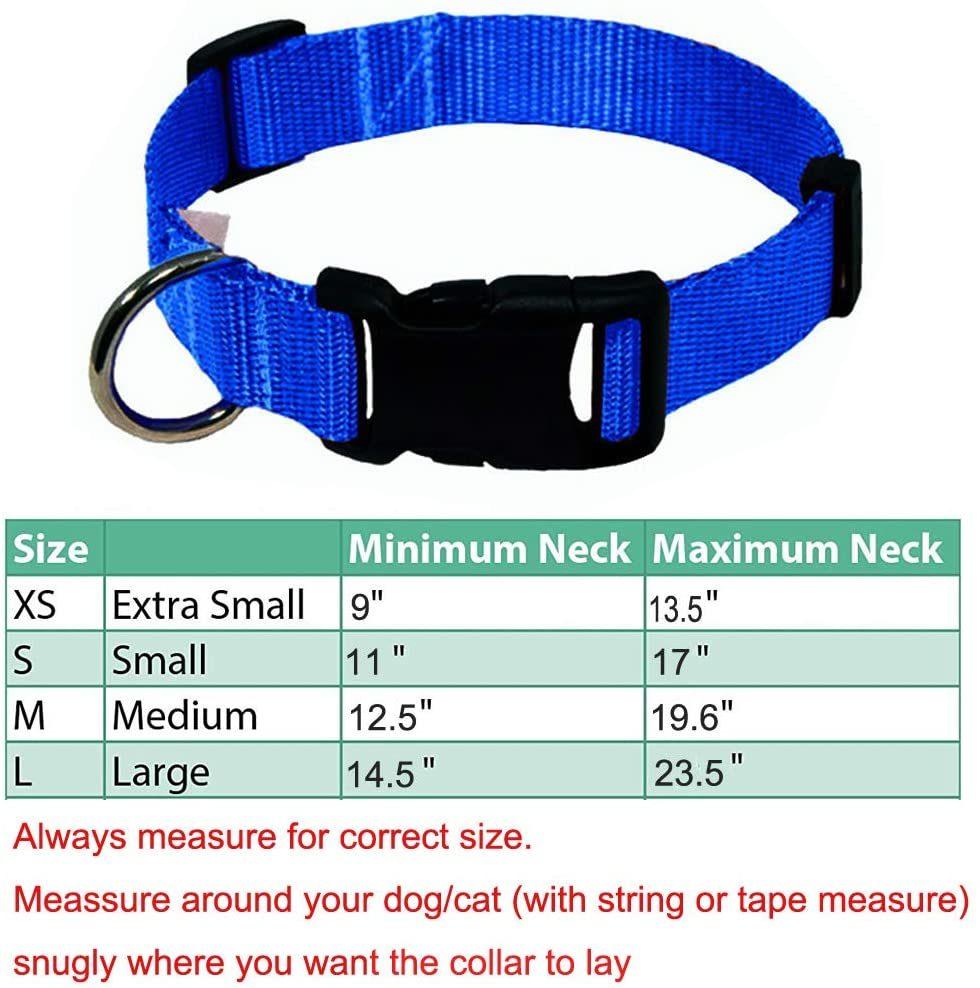 Adjustable Nylon Dog Collar with Classic Solid Colors