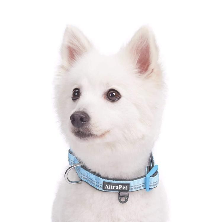 Soft Reflective Fashion Nylon Webbing Neoprene Padded Pet Dog Collar