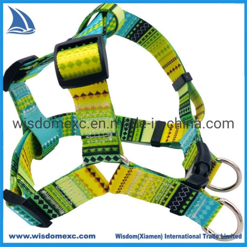 Rainbow Custom Pattern Durable Webbing with Training Handle Harness Set