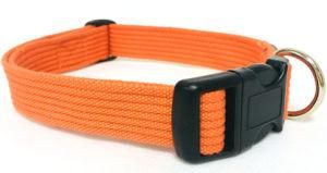 Soft Padded Dog Collar, Cat Collar