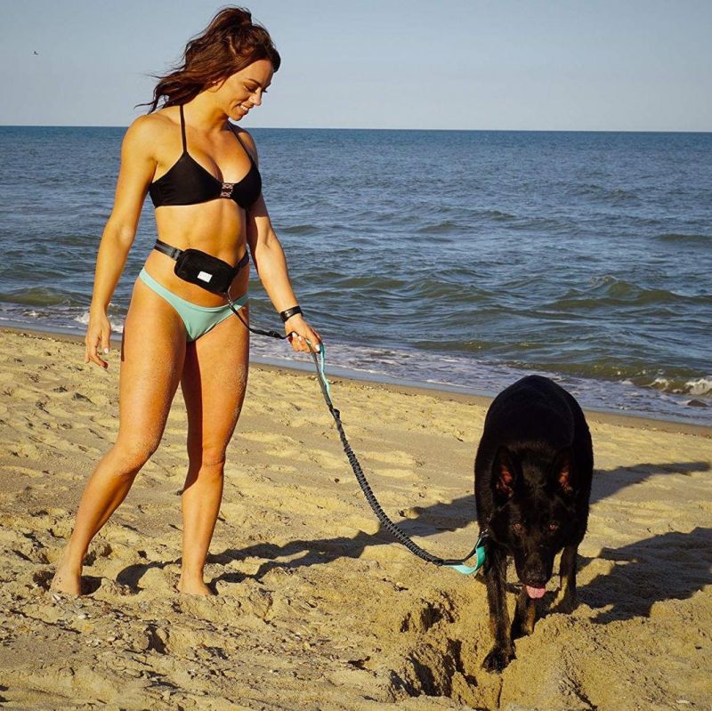 Hands Free Dog Leash for Running Working Outdoors for Dog